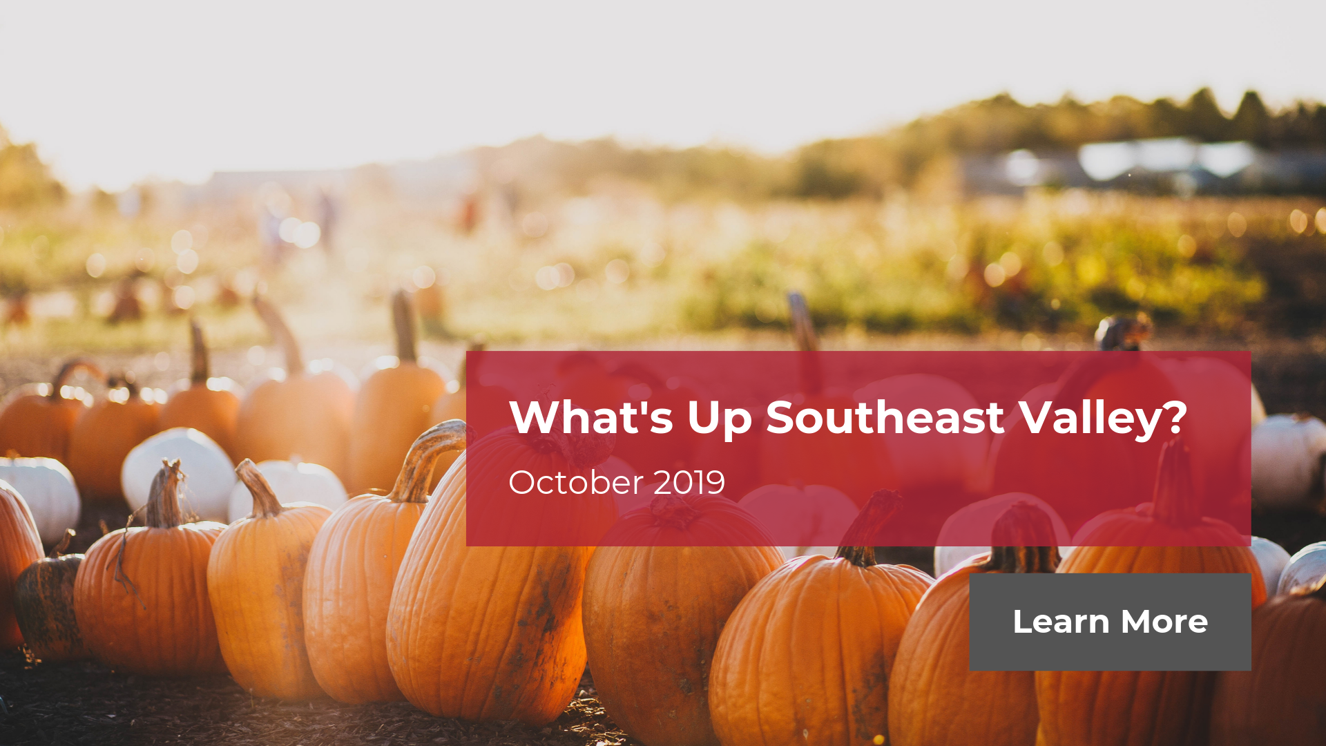 What's Up Southeast Valley - October 2019